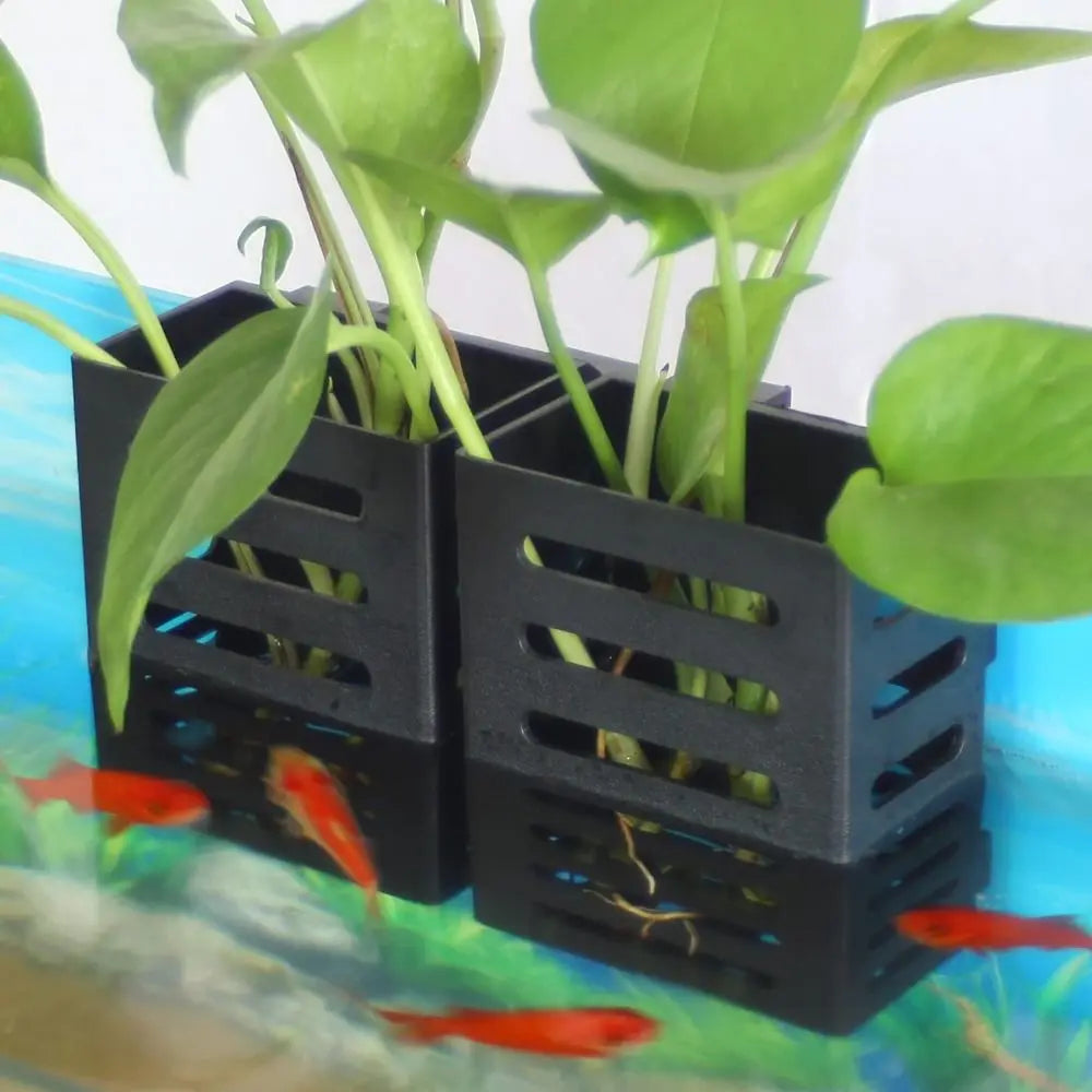 Soporte colgante para plantas de acuario emergidas