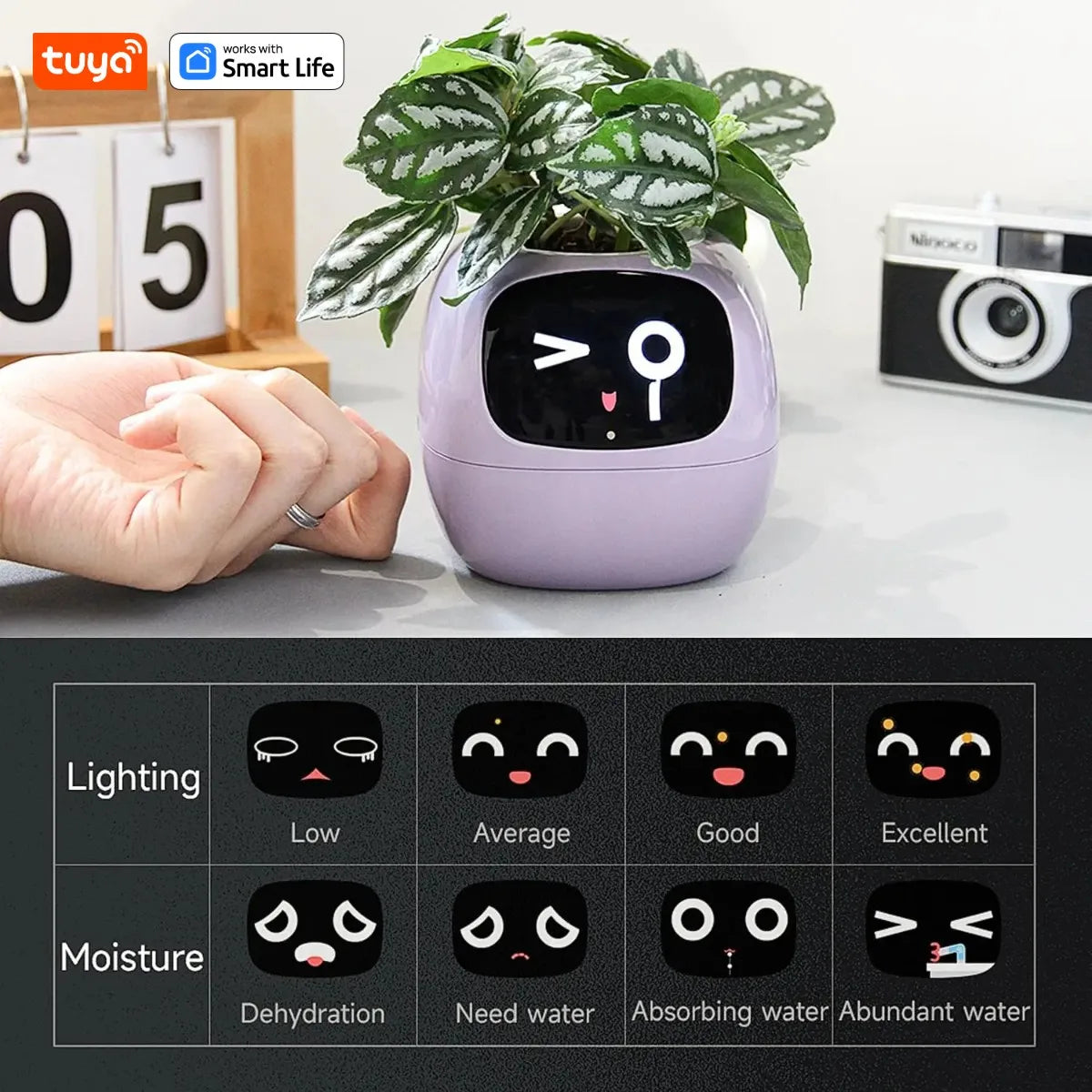 Pink Smart Planter with Expression Display