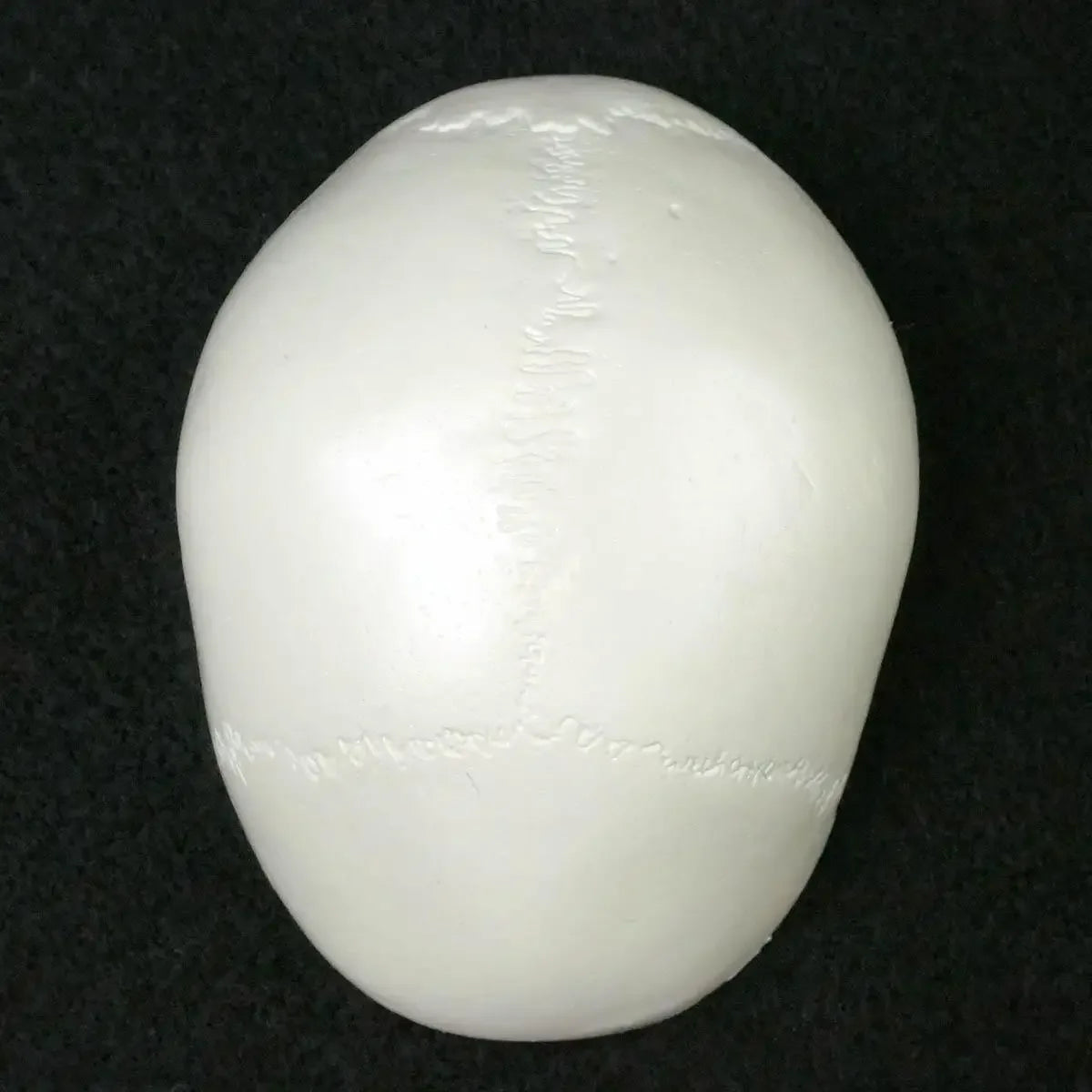 Mini model anatomie lidské lebky