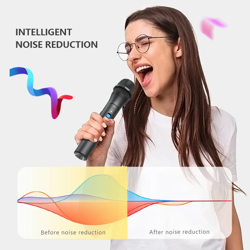 Set wireless cu microfon portabil pentru karaoke