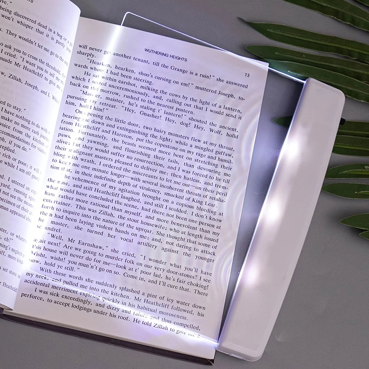 Battery LED Book Light with Warm Amber Reading Glow