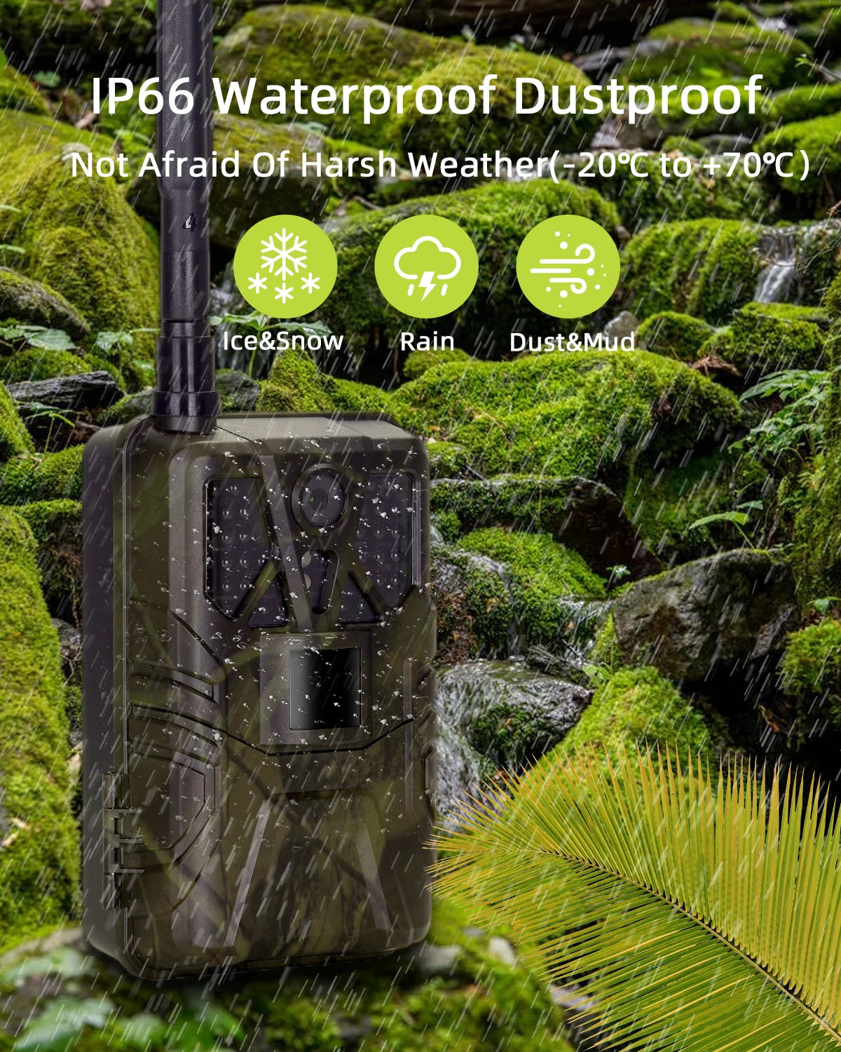 4G Trail Camera with APP Live Video, 4K Recording, 30MP Photos