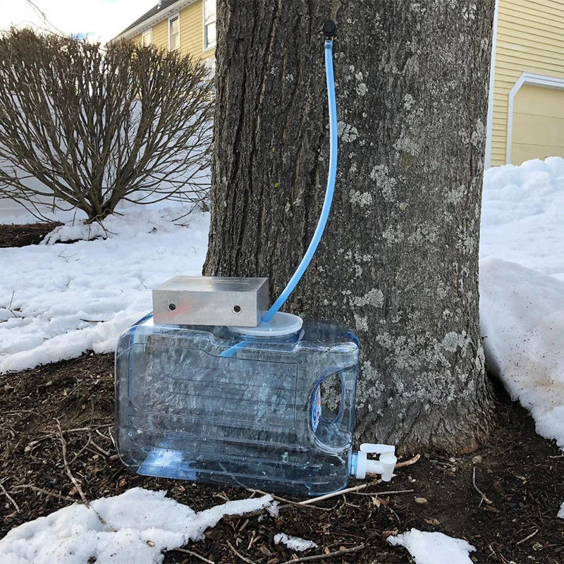 Maple Sap Tapping Kit - Six or Twelve Sets