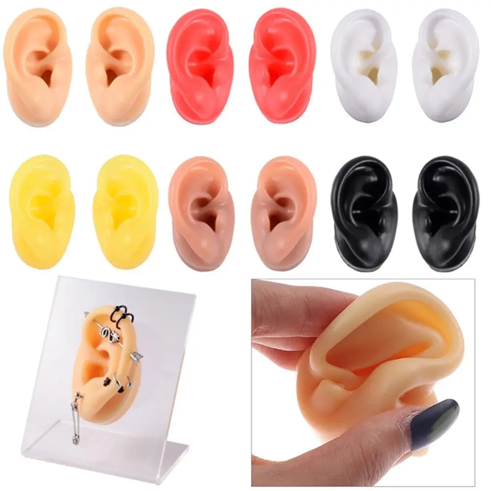 Silicone Ear Model for Teaching and Earring Display
