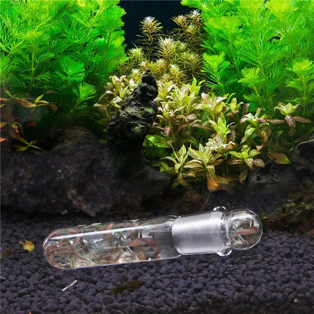 Trappola chiara per planaria d’acquario – Foro opzioni