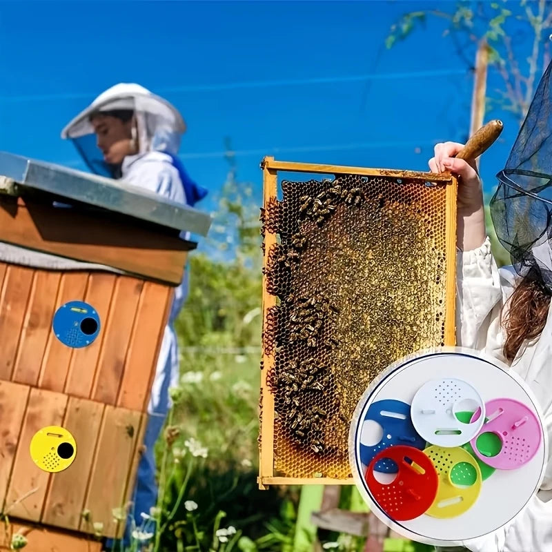 Colorful Round Beehive Entrance Discs, 15 Pack