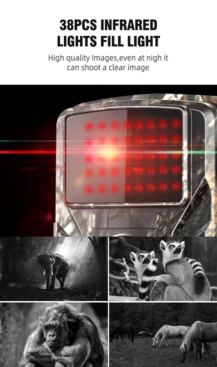 Wild Infrared Night Vision Hunting Camera with 16MP 1080P
