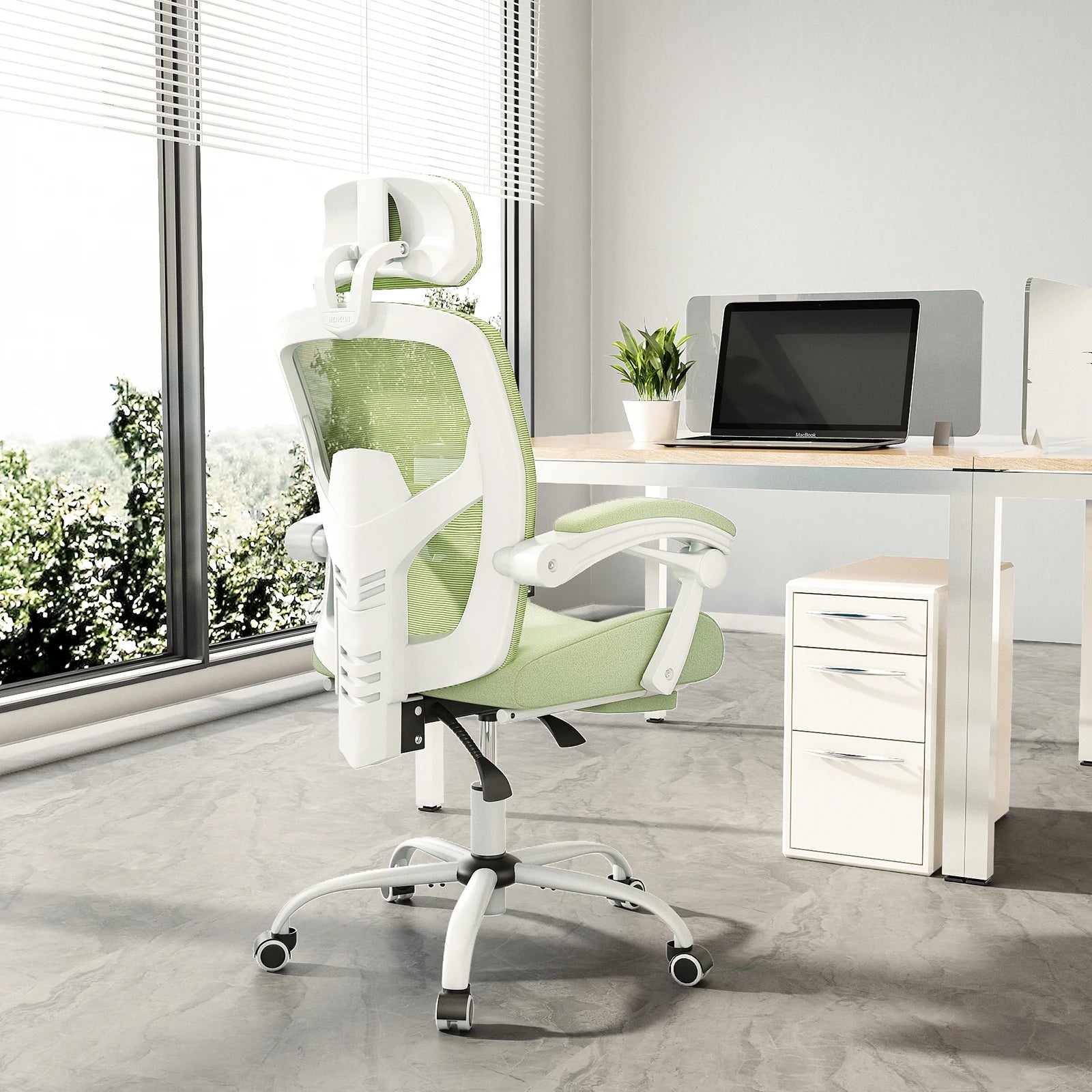 Ergonomic Reclining Mesh Office Chair with Footrest & Lumbar Support