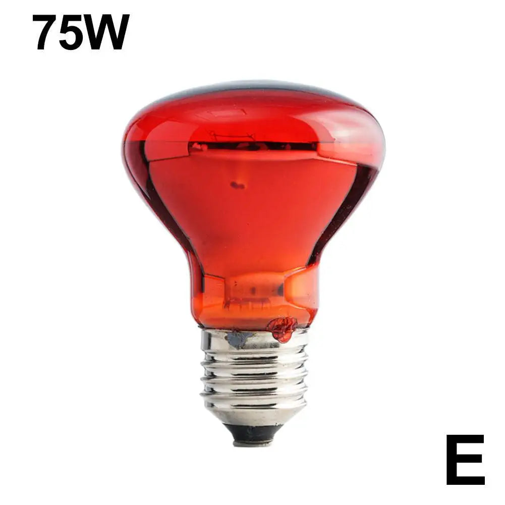 E27 Reptile Heat Bulb, 25–100W Options