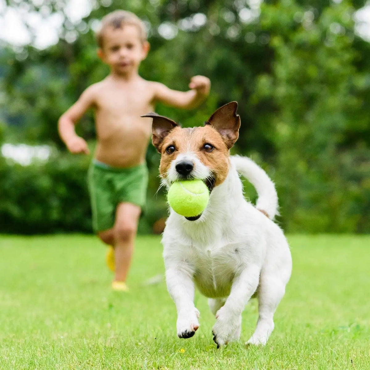 Tennis Training Ball with Elastic String - Rebound Self Practice Ball Tennis Solo Training Tool