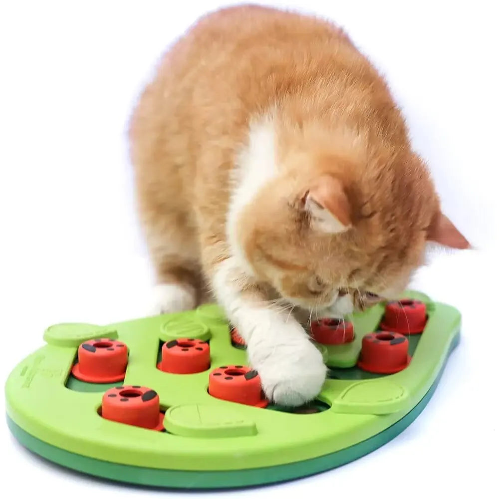 Cat Treat Puzzle with Moving Covers