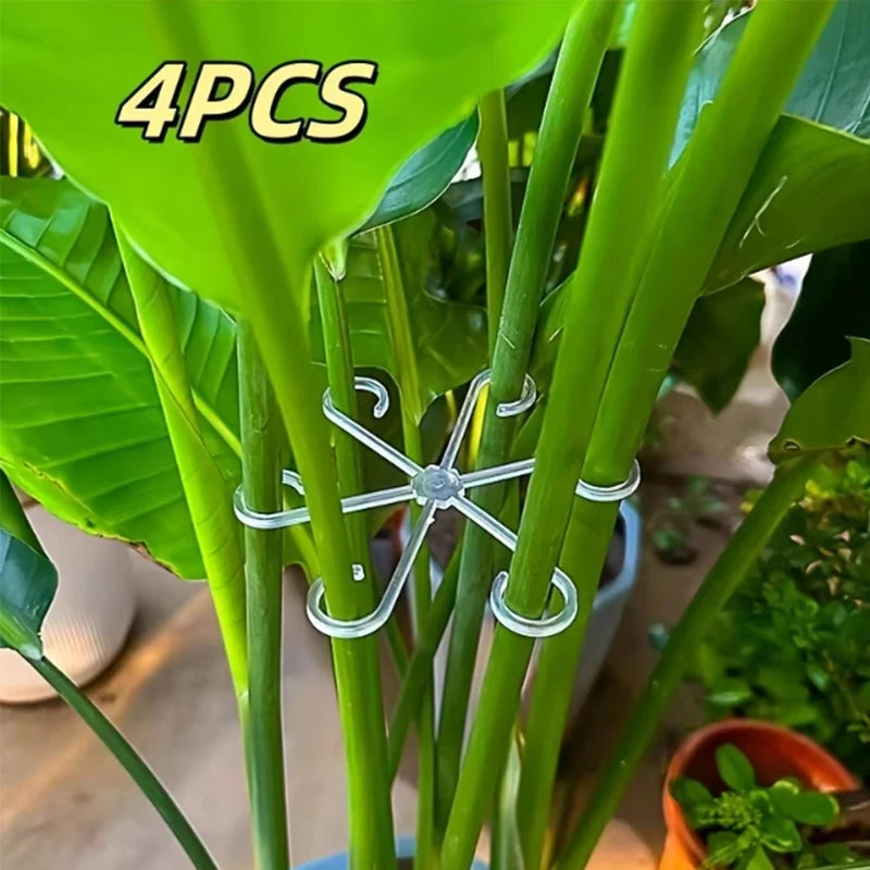 Gennemsigtige Planterstilk-Super Clips, 4 Stykker