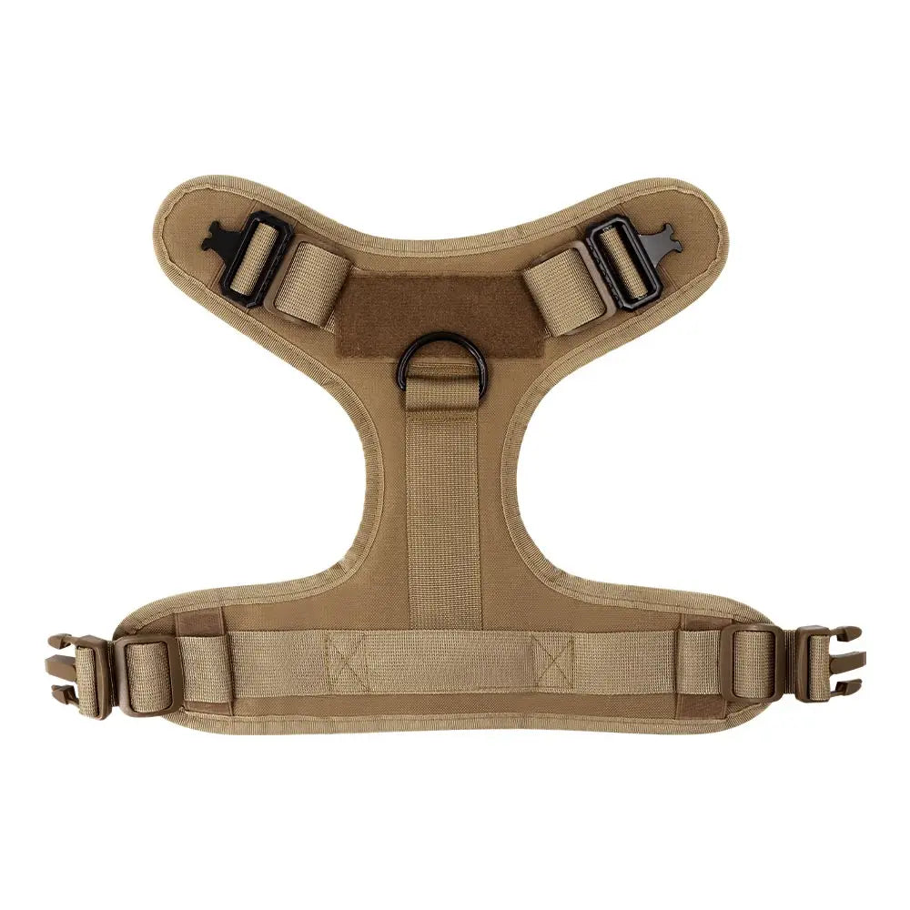 Large Dog Harness and Leash Set for Training and Walking