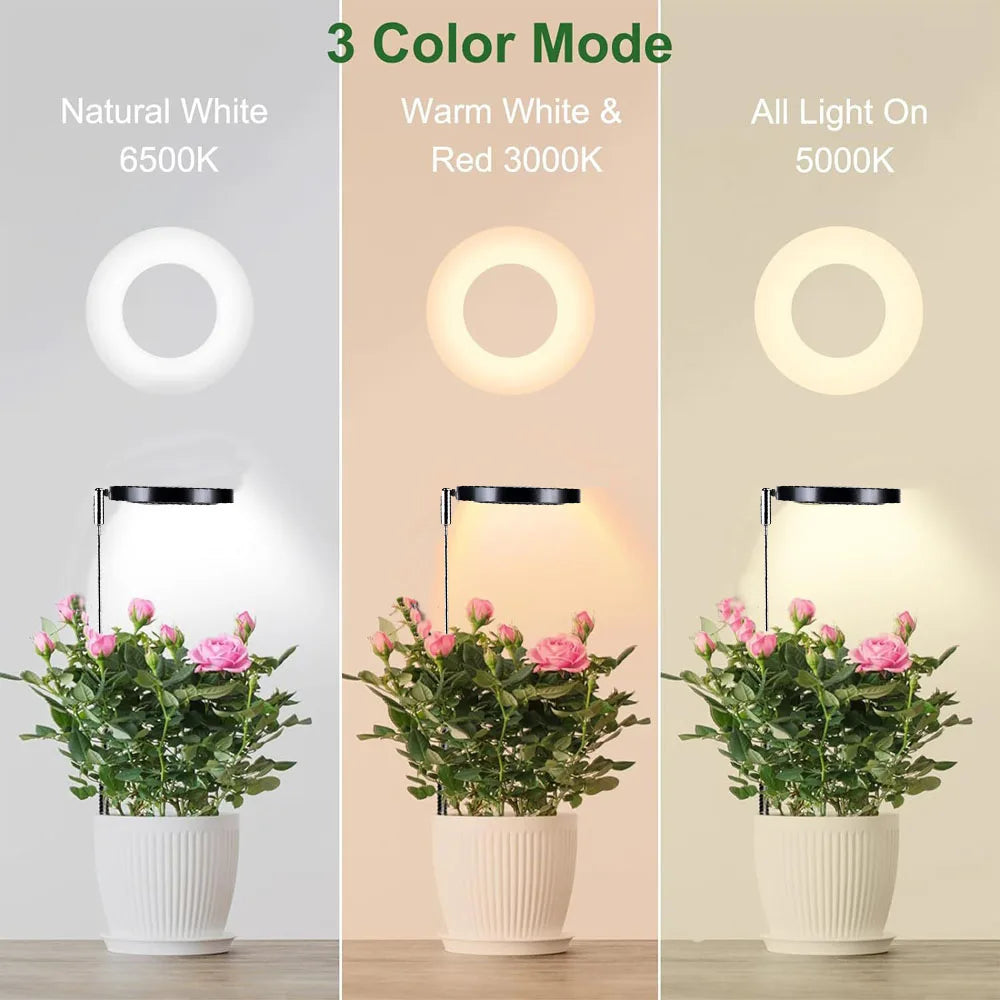 Adjustable USB Plant Light with Soil-Insertion Support