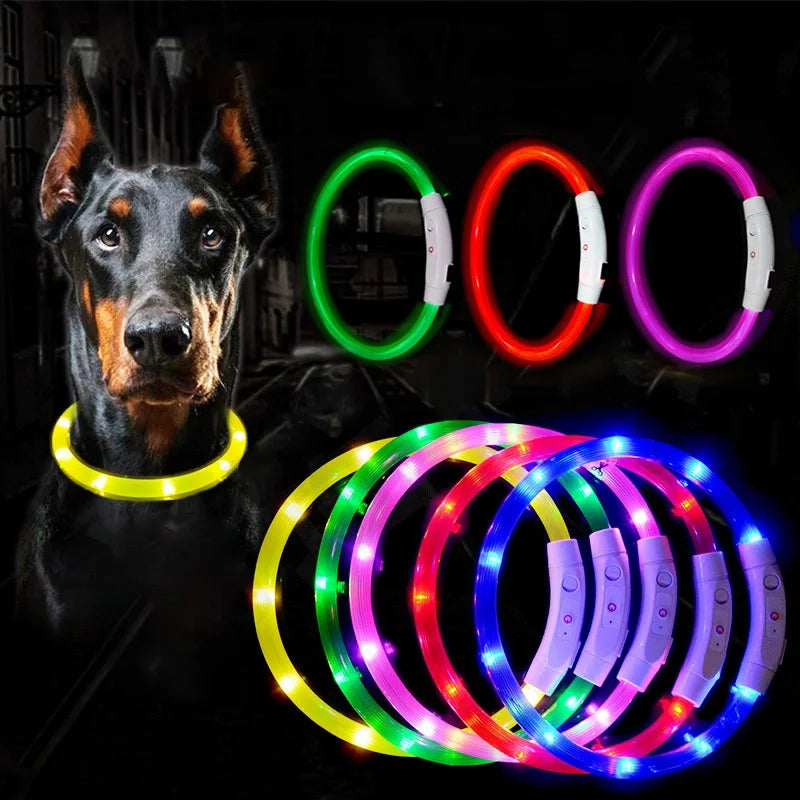 Collar de mascota con LED recargable por USB
