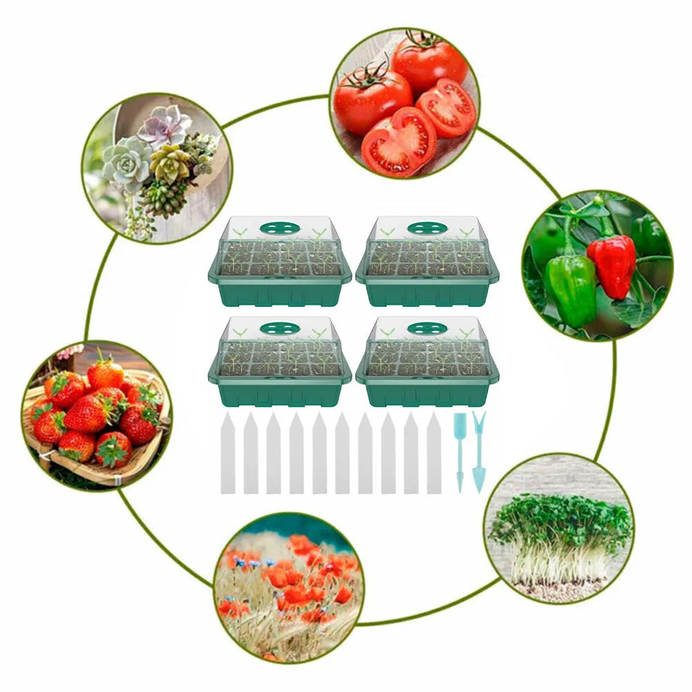 4-Pack Mini Greenhouse Seed Trays with 12 Cells Each
