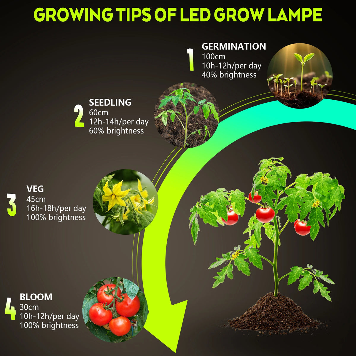 LED Plant-Light Panel, Model and Plug Options