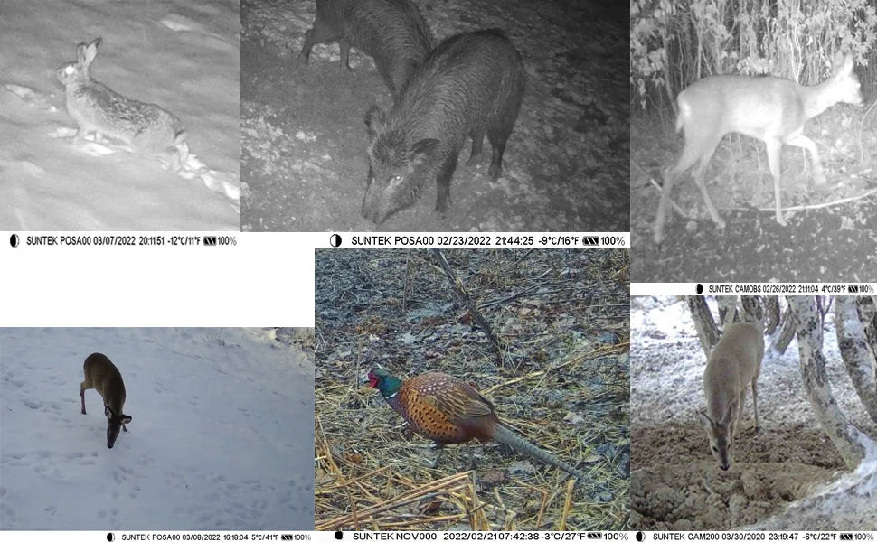 4G Trail Camera with APP Live Video, 4K Recording, 30MP Photos