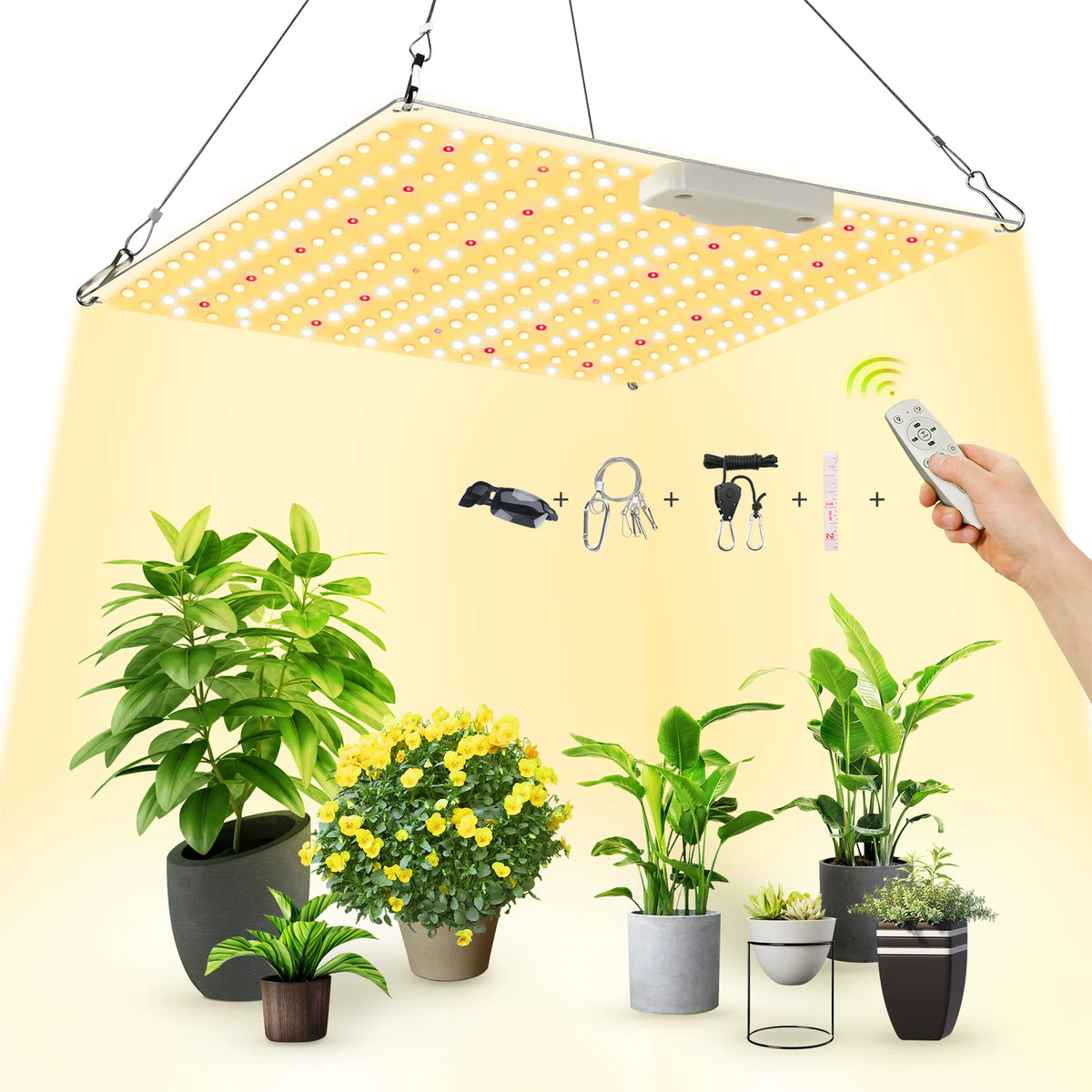 LED Plant-Light Panel, Model and Plug Options