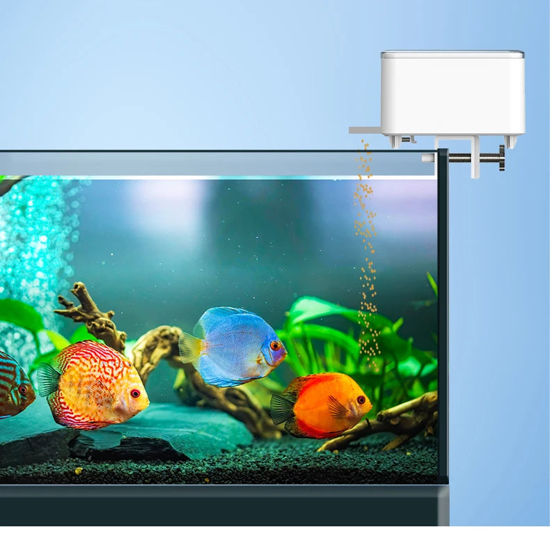 Automatic Fish Feeder, Button and WiFi Versions