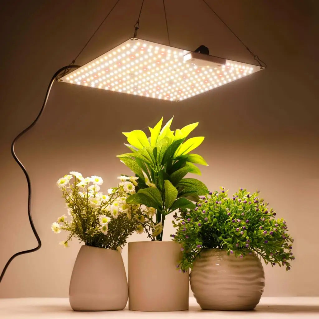 LED Plant-Light Panel, Model and Plug Options