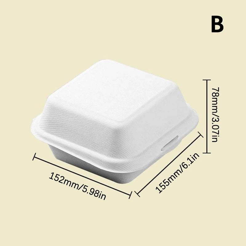 Disposable Fibre Bento Containers, Pack of 10