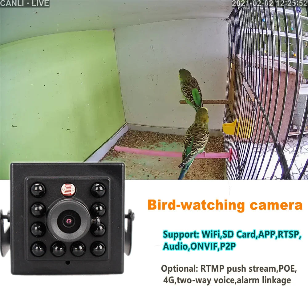 Mini 4G IR Camera met Onzichtbare Nachtzicht