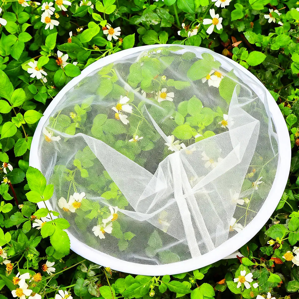 Finmasket nylon honning si til spildt filtering