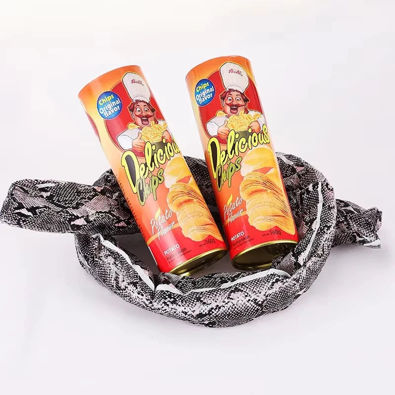 Prank Snake Toy in Potato Chip Can 🐍