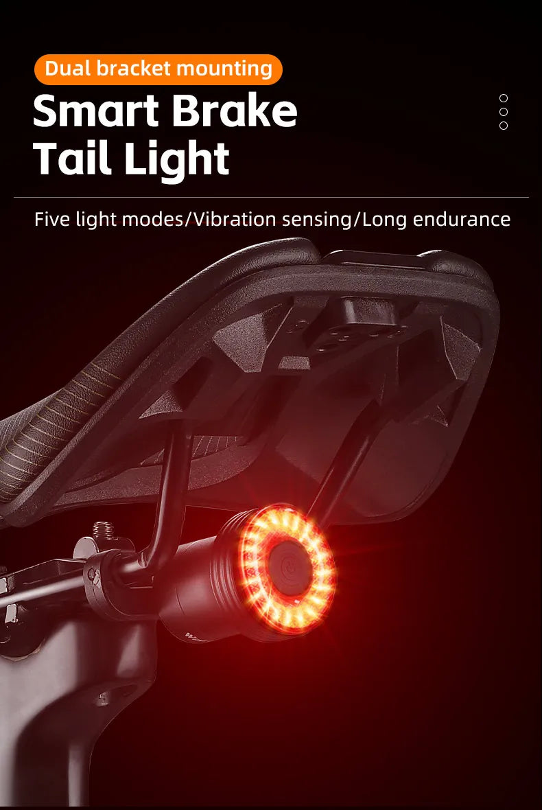 Smart Bicycle Tail Light — USB-C