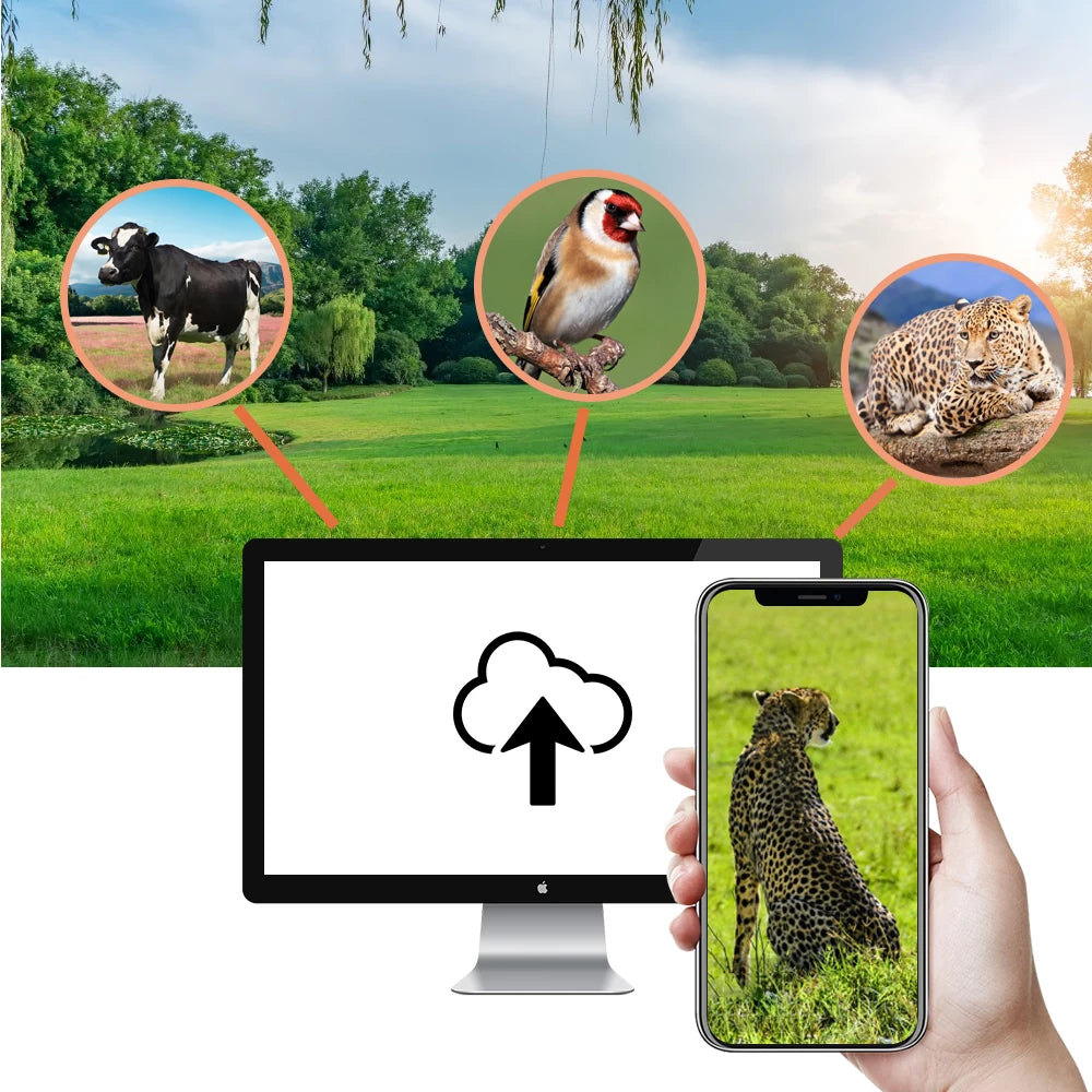 4G Trail Camera with APP Live Video, 4K Recording, 30MP Photos