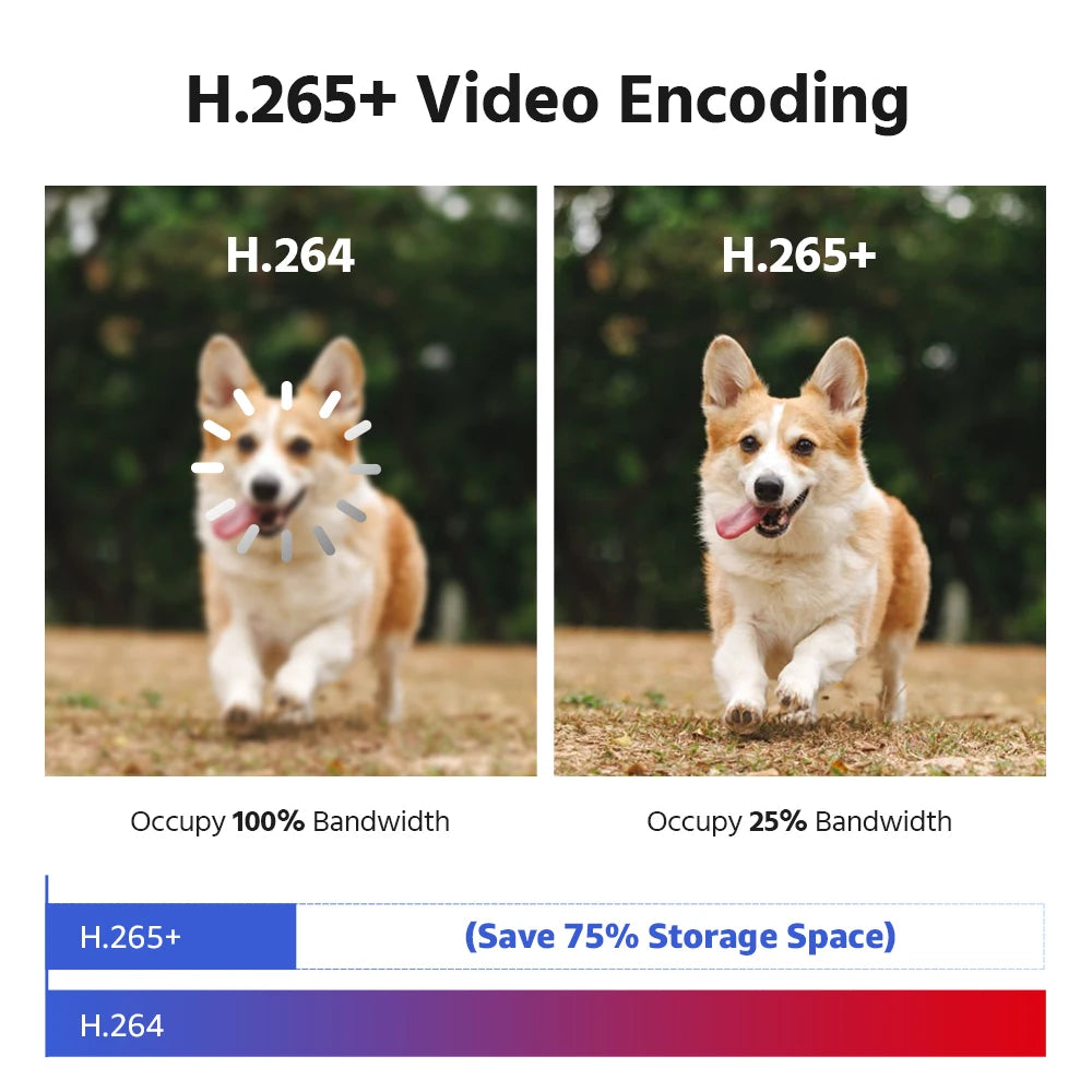 4K 8MP 180° Dual Lens Security Camera with Color Night Vision