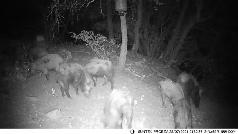 4K 30fps Live Stream APP Clould Service Hunting Trail Camera 8*1.5V AA Battery 4G 30MP 940nm Night Vision Cameras HC940PRO