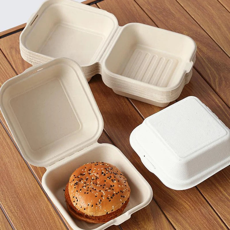 Disposable Fibre Bento Containers, Pack of 10