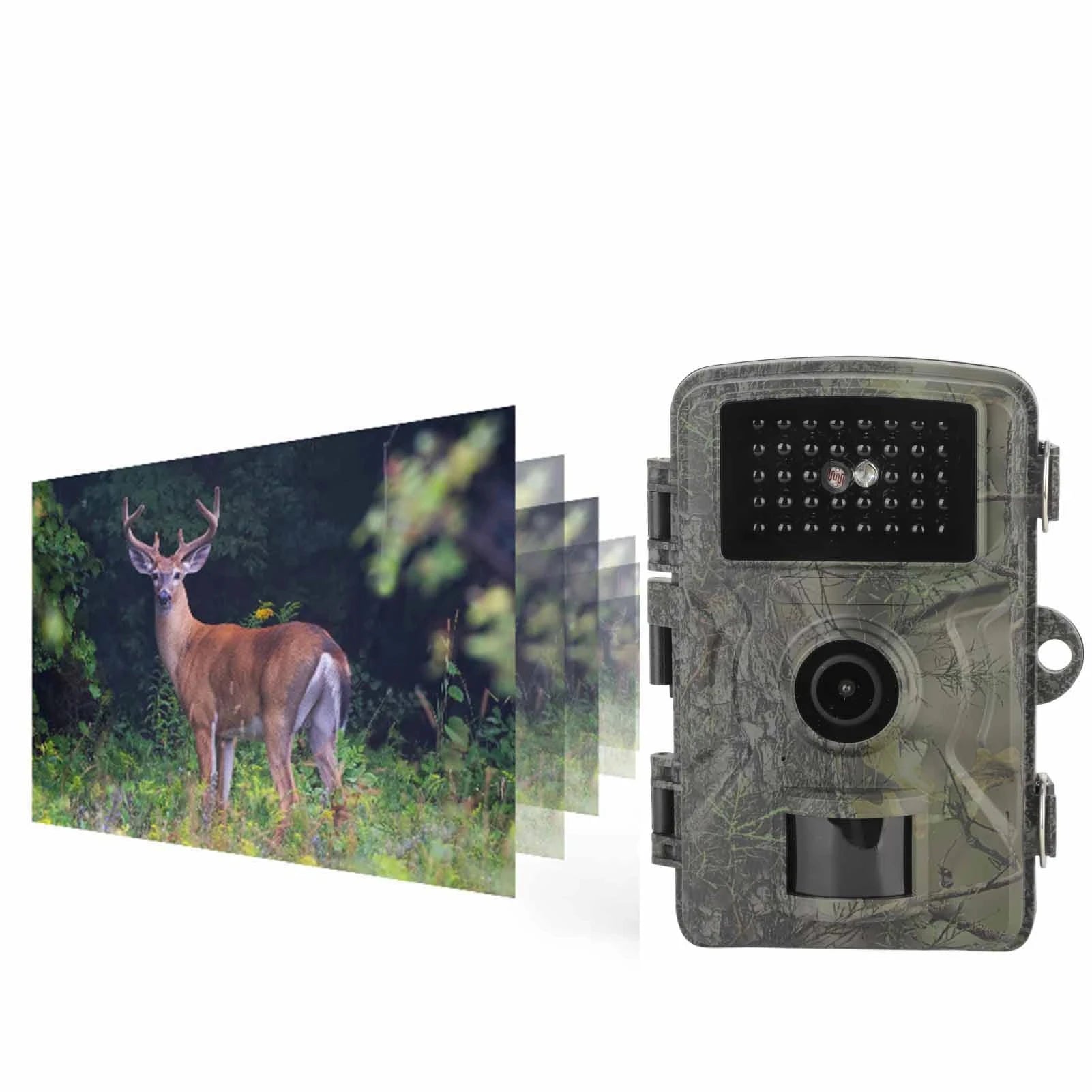 HD Infrared Night Vision Trail Camera with 2.0 Inch Display