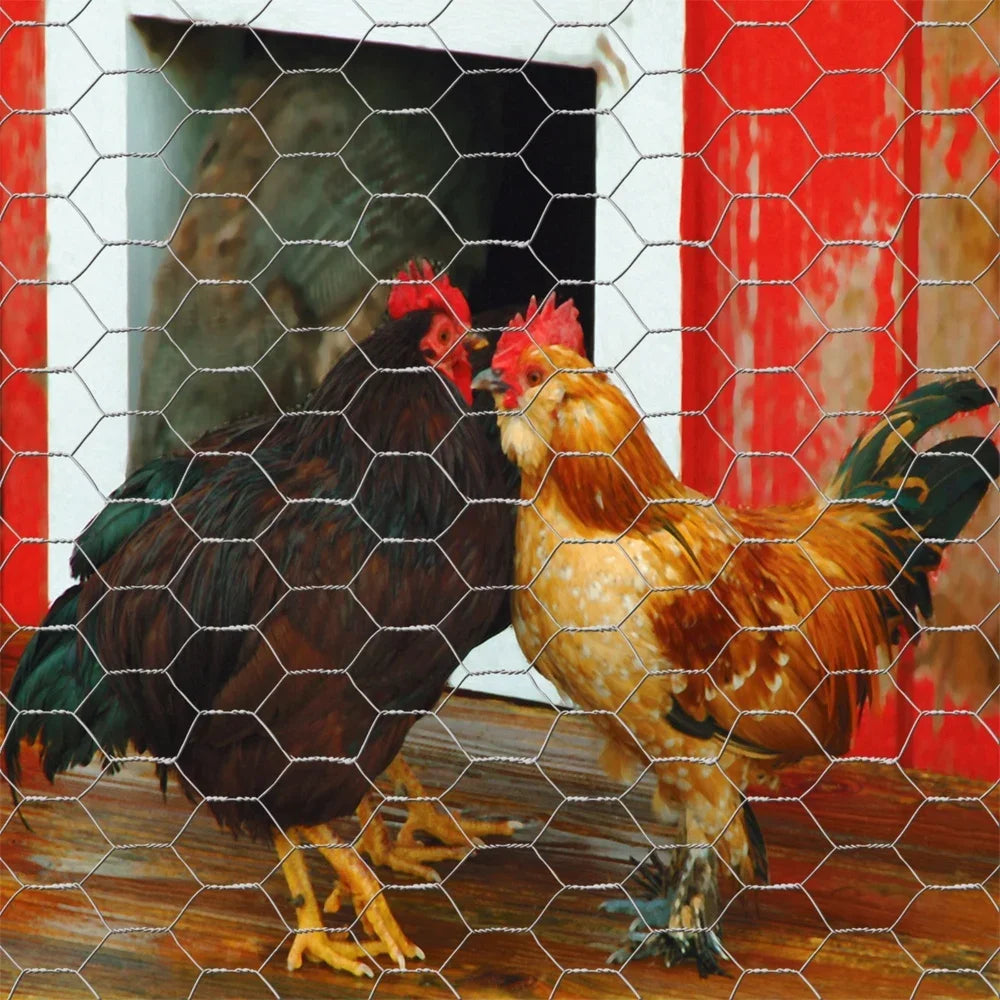Galvanized Steel Chicken Wire Roll 24in x 50ft Garden Fence Mesh