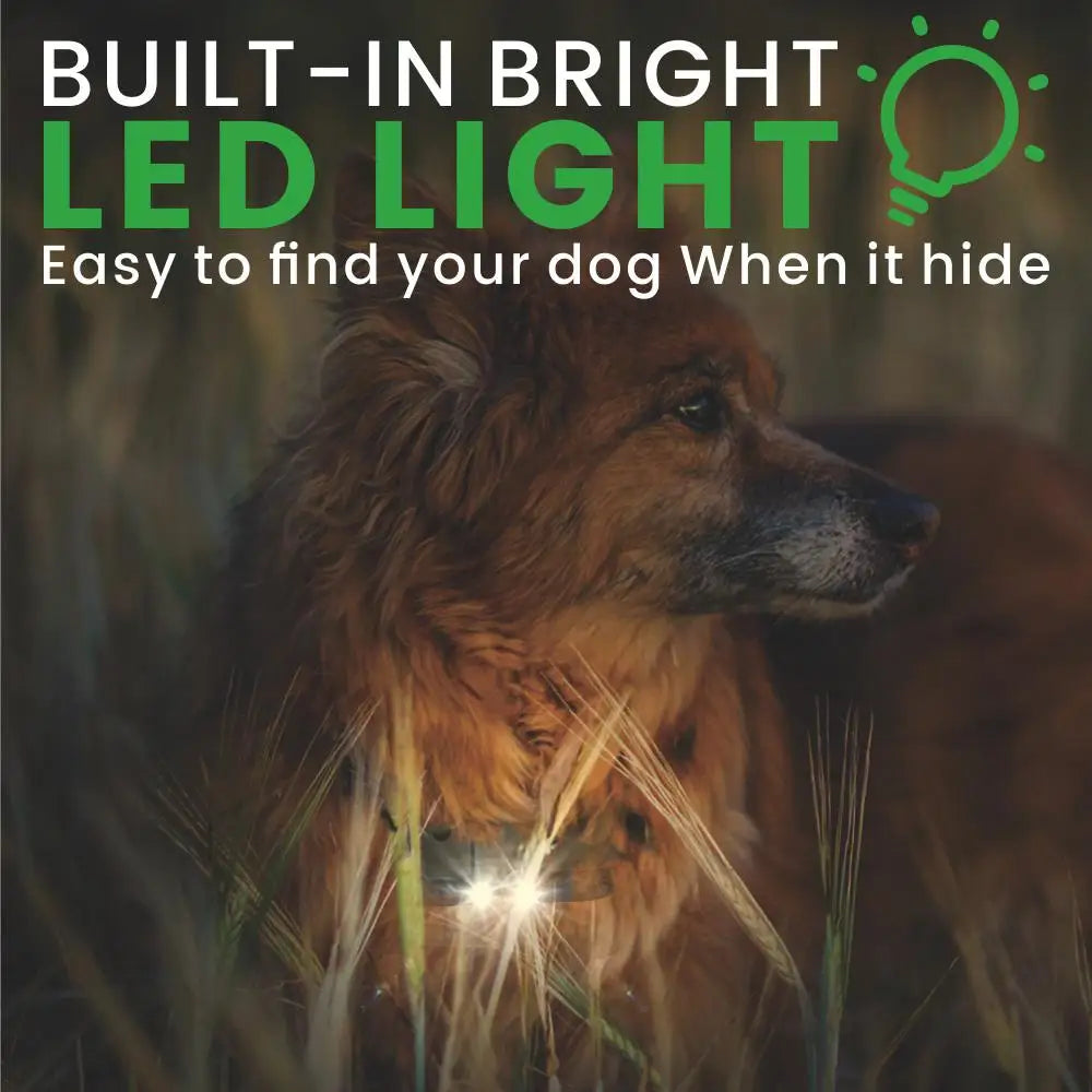 Waterproof Dog Training Collar with Remote, Rechargeable Anti-Bark