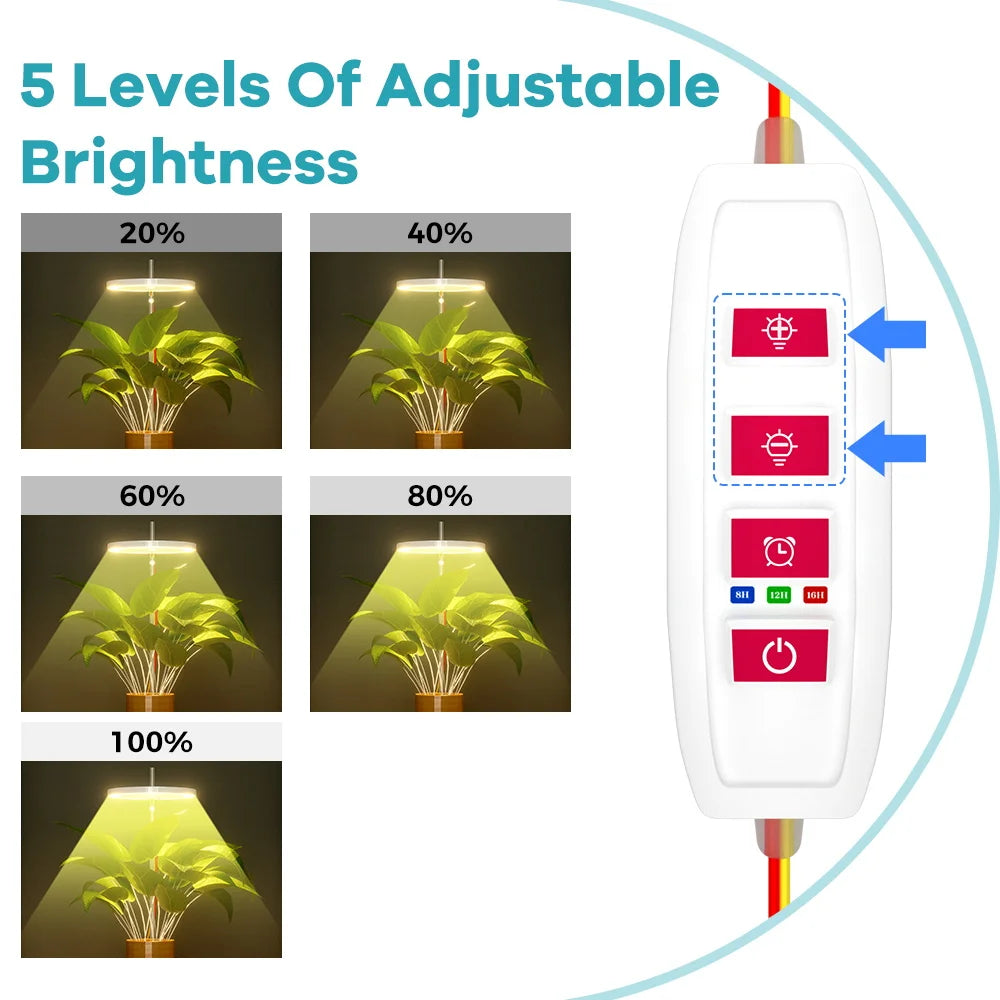 USB Plant Grow Light, One to Four Heads