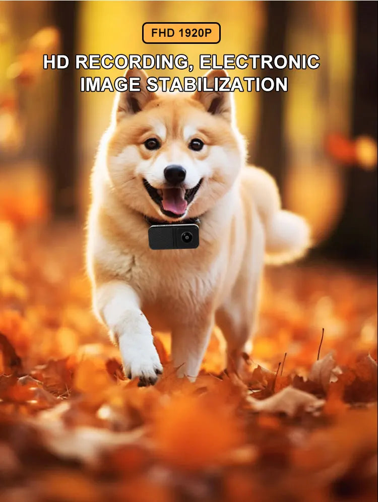 HD 1080P Pet Collar Camera with 170° Wide Angle Recording