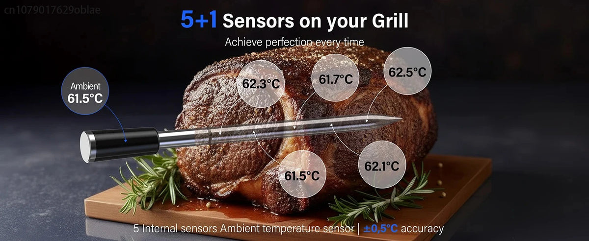 Wireless Digital Meat Thermometer with WiFi and Bluetooth