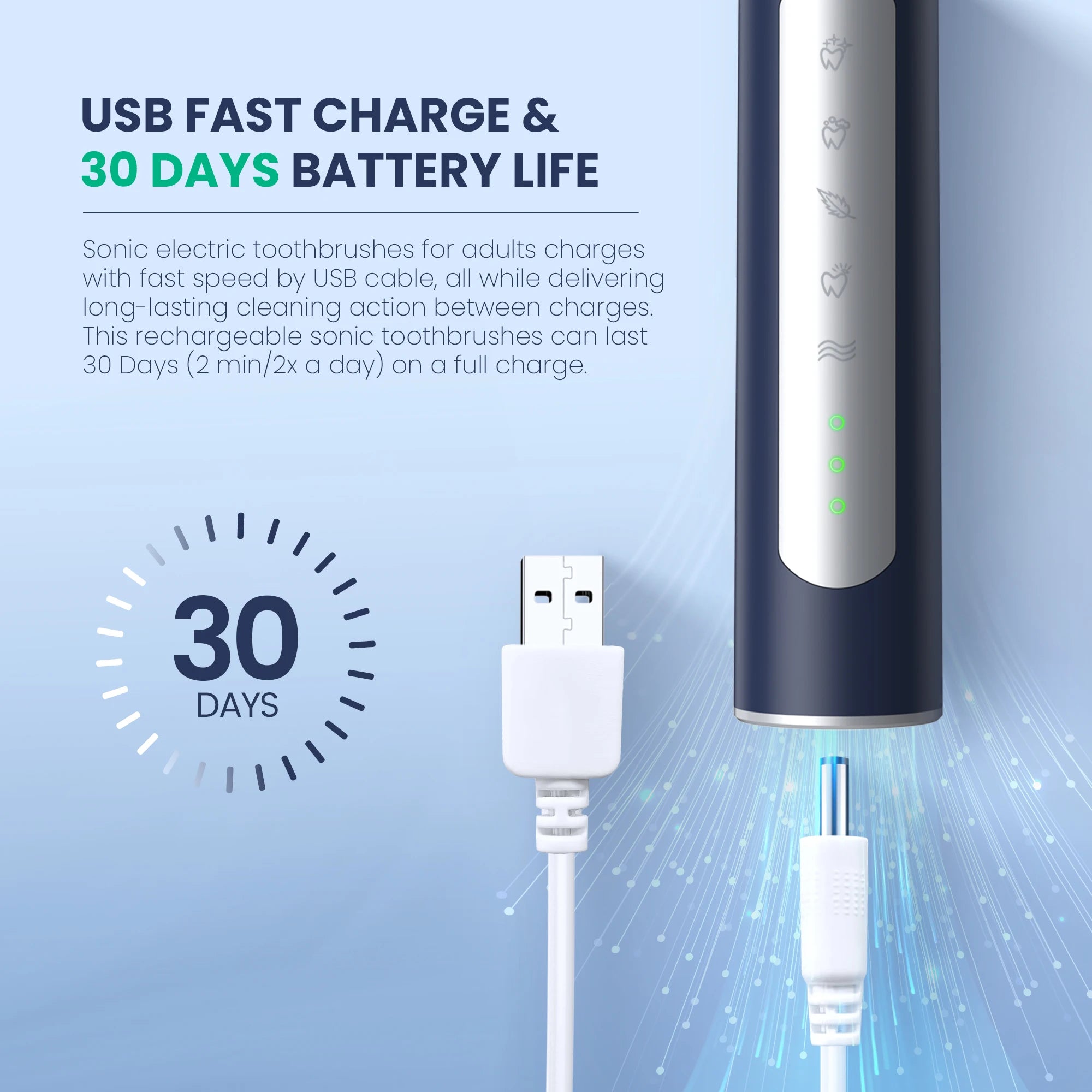 Sejoy JS10-1 Electric Sonic Toothbrush with Replacement Heads