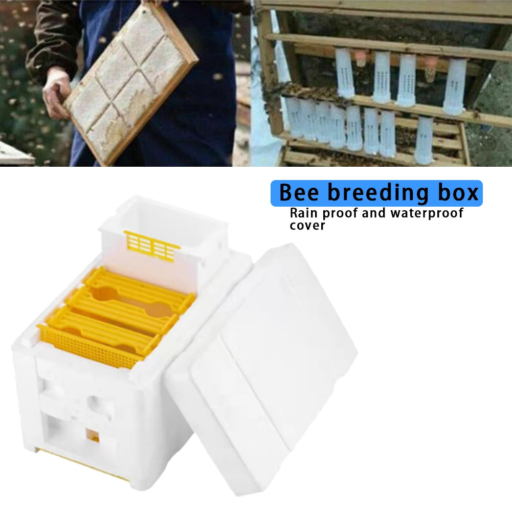 Compact Foam Beekeeping Mating Box