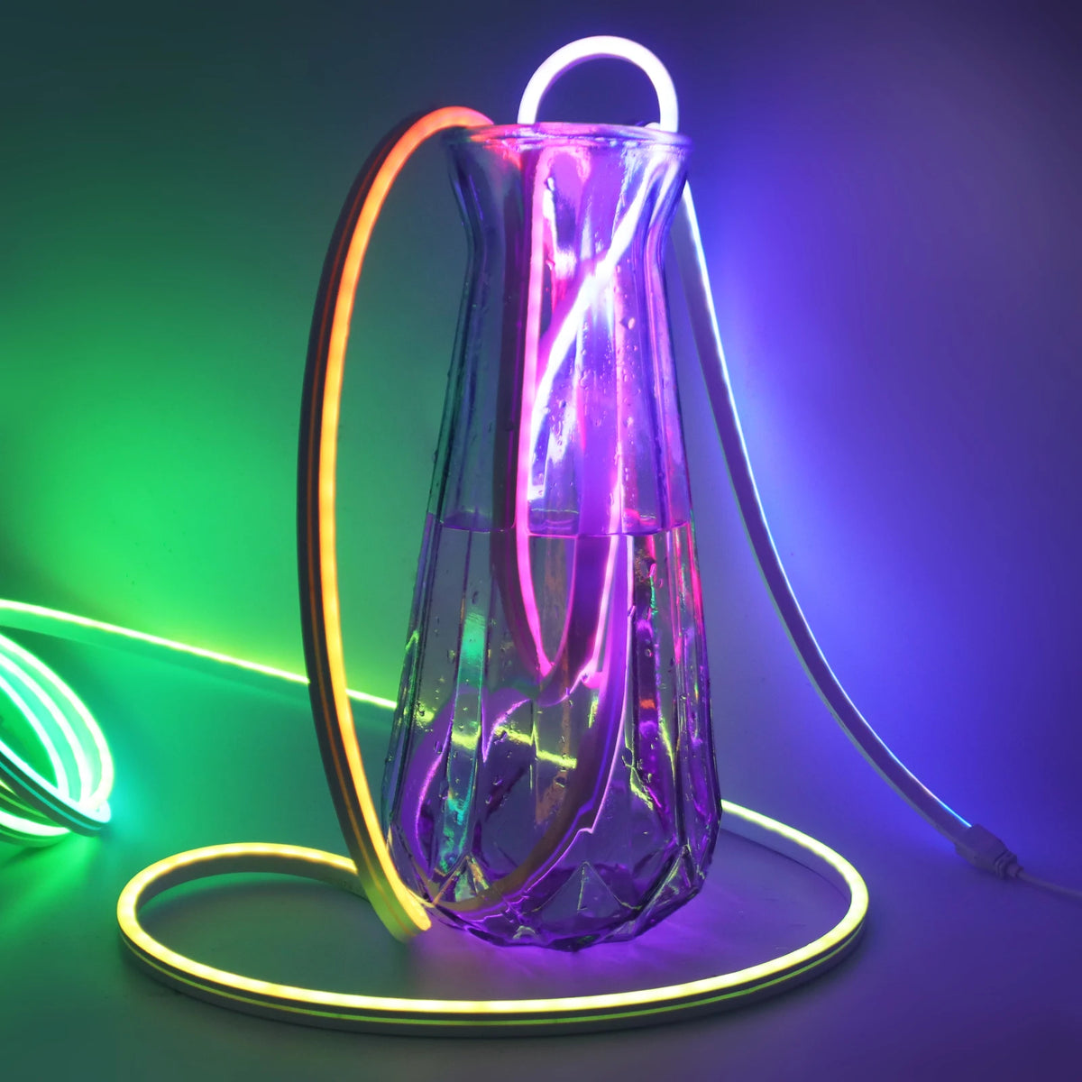 RGBIC Neon Light Rope, 12 V or 24 V Sets