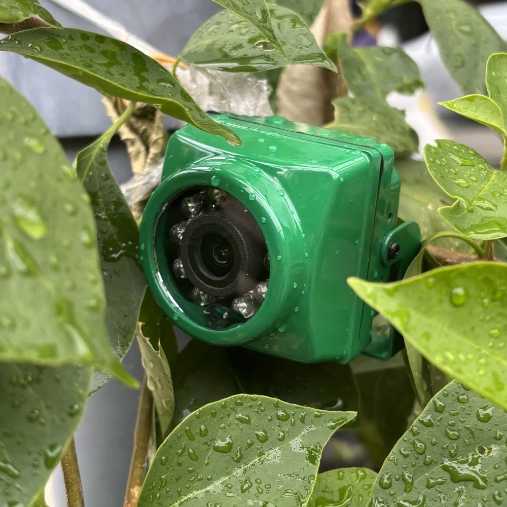 Kleine Outdoor 4K IP-Kamera mit PoE, Bewegungserkennung und Nachtmodus