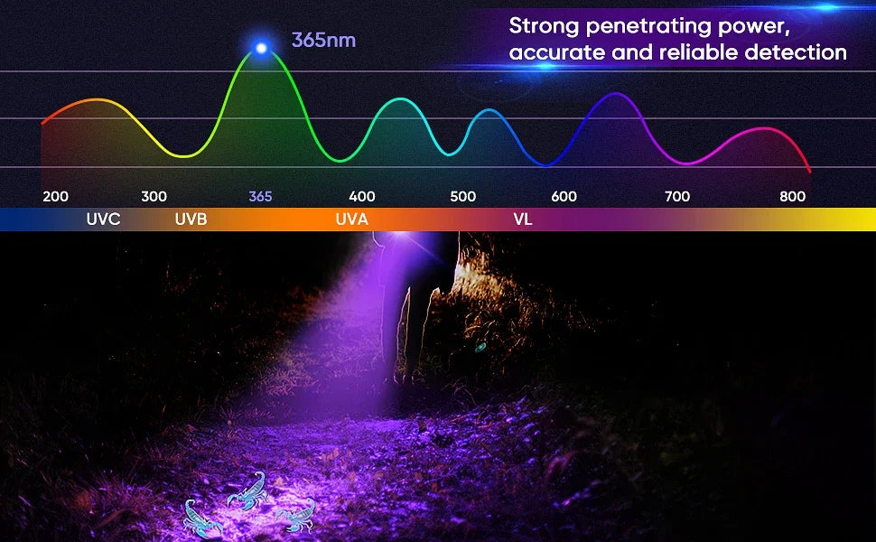 365nm Rechargeable UV Flashlight - Battery Options