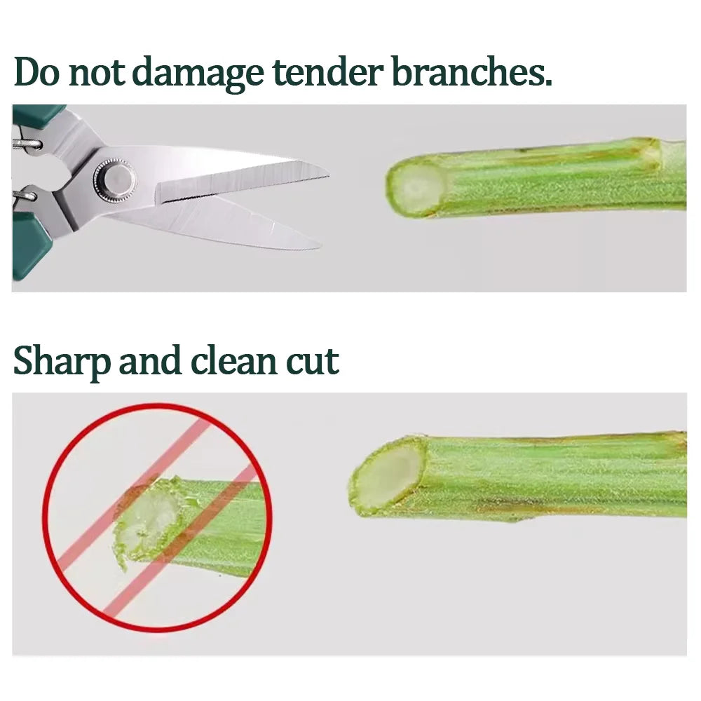Straight-Blade Garden Scissors, Red or Green, 1–10 Pairs