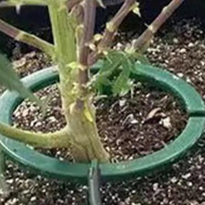 Hydro Halo Plant Watering Ring, 5 or 9 Inch, ABS