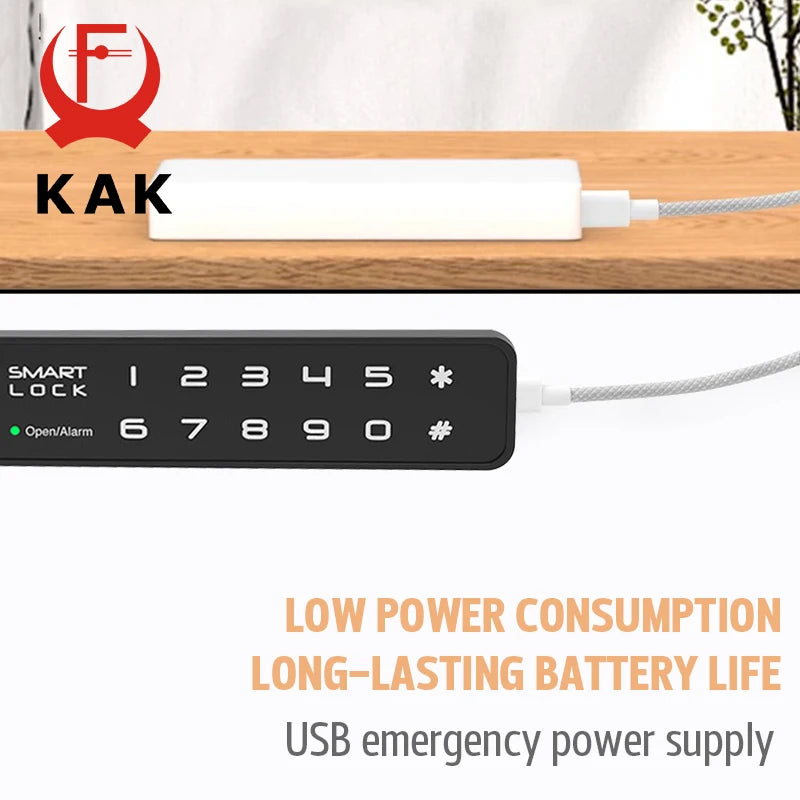 Electronic Cabinet Lock with PIN and USB-Key Access