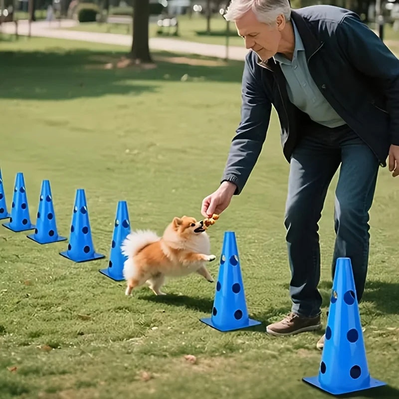 Dog Agility Hurdle Training Set, Pictured Options