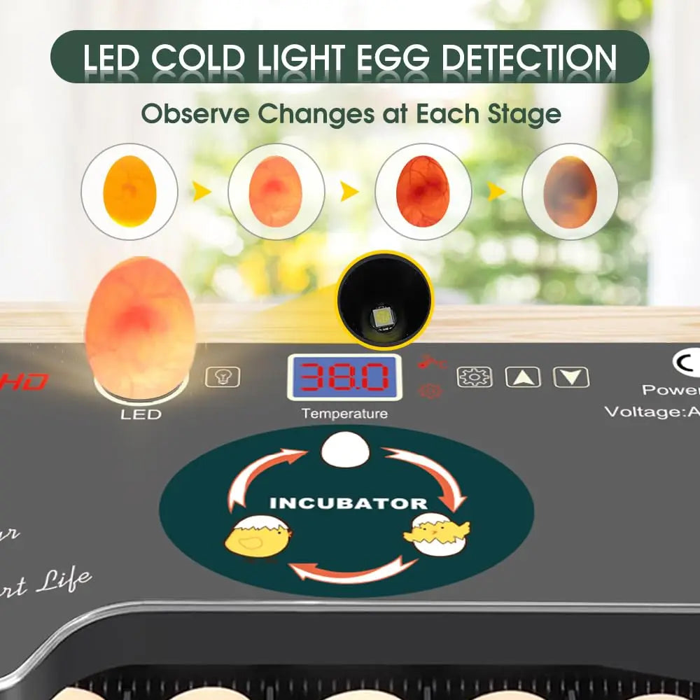 12 Egg Incubator with Auto Turning, Temperature Control & Candler